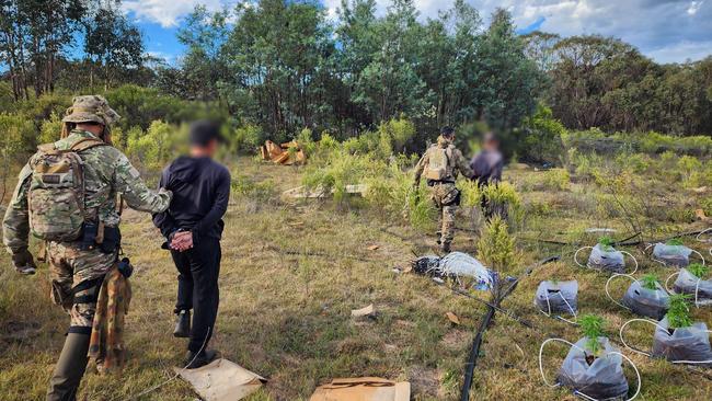 Drug &amp; Firearms Squad detectives charge two men following discovery of $31m worth of cannabis in Goulburn, NSW. Picture: NSW Police