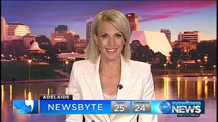 Adelaide’s Afternoon Newsbyte - 13/4/2017