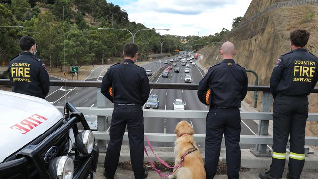 A convoy including a Command car, a hearse and the Happy Valley CFS truck bringing Louise Hinck's body from the SE on Monday. Burnside CFS volunteers Sam Matear, Stefan Kirkmoe, Grant Davis, and Corey Rounsevell, with Maggie the dog, stand to attention on the Mt Osmond bridge over the SE Freeway. Picture: Dean Martin