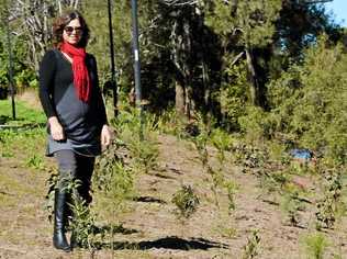 RIVER REVIVER: Environment strategies officer for Lismore Vanessa Tallon among the newly-planted native trees along Wilsons River. Picture: Samantha Elley