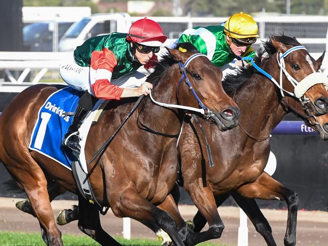 Amelia's Jewel ridden by Damian Lane wins the Furphy Let's Elope Stakes at Flemington Racecourse on September 16, 2023 in Flemington, Australia. (Photo by Brett Holburt/Racing Photos via Getty Images)