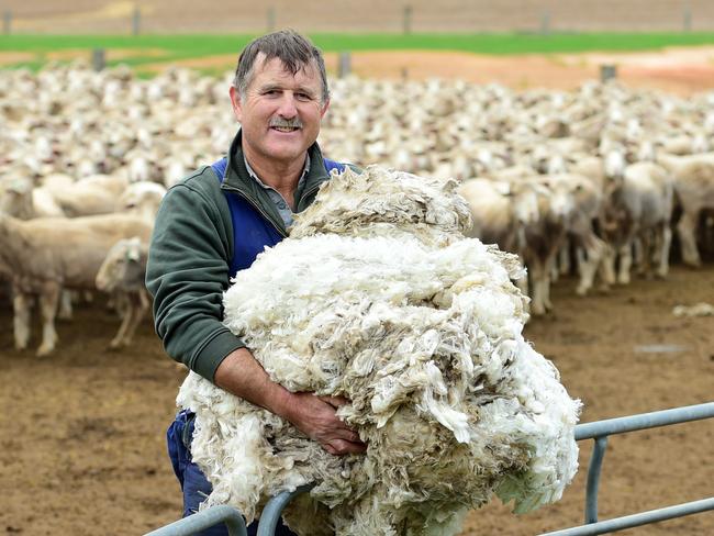 NEWS: Wool Prices Tony Butler from Newsted sold 160 bales last week. PICTURE: ZOE PHILLIPS