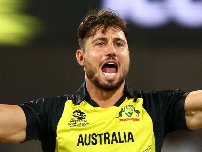 BRISBANE, AUSTRALIA - OCTOBER 31: Marcus Stoinis of Australia celebrates the wicket of Gareth Delany of Ireland for 14 runs during the ICC Men's T20 World Cup match between Australia and Ireland at The Gabba on October 31, 2022 in Brisbane, Australia. (Photo by Chris Hyde-ICC/ICC via Getty Images)