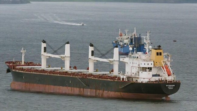 Bulk carrier Enterprise, which berthed at Port Melville on January 27. Picture: Sergei Skriabin/Marine Traffic