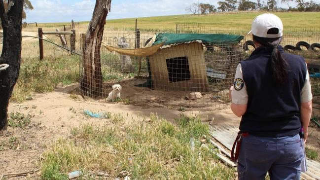 Kerrie Fitzpatrick was found guilty of multiple counts of animal cruelty. Photo: RSPCA