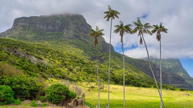 Lord Howe Island has had a 400 person visitor cap since 1981. Picture: istock