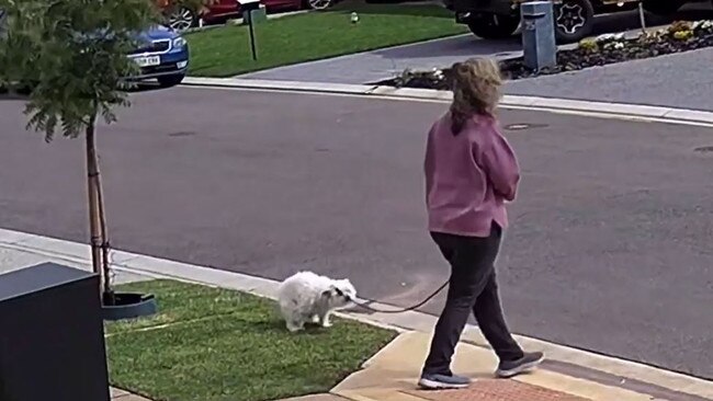 A neighbour allegedly leaves dog's poo behind on a northern suburbs resident's front lawn. Picture: Facebook