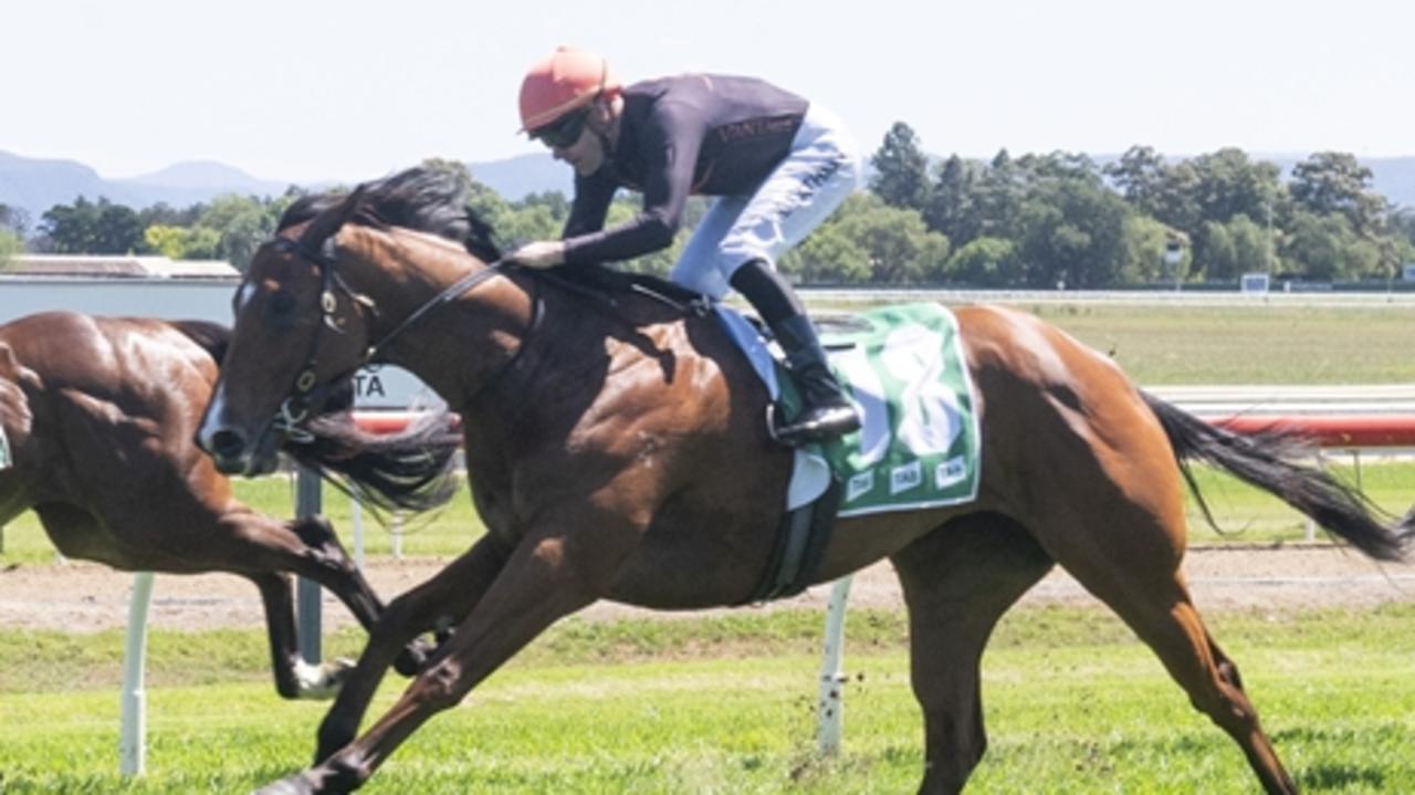 Kembla tips: Freedman gelding looking for better luck