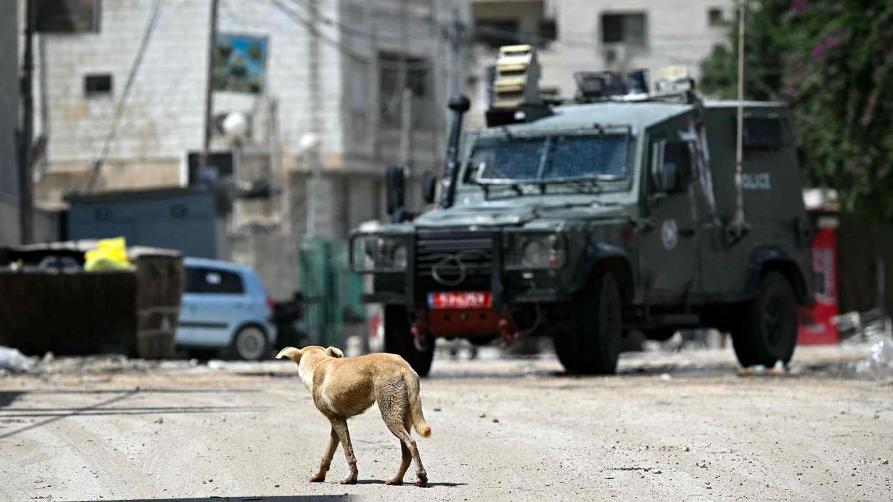 A stray dog walks in front of an Israeli armoured jeep during an army raid in Jenin on August 31. Picture: AFP