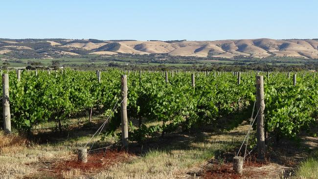 Casella Family Brands paid $12.4 million for the Hawthorn Ridge and Reedy Creek vineyards in 2016.