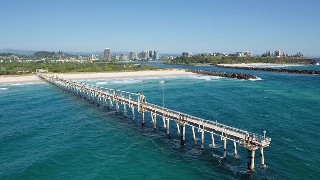 Greenery at the Spit. Picture: Destination Gold Coast