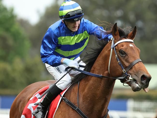 SYDNEY, AUSTRALIA - OCTOBER 12: Beau Mertens riding Attrition wins Race 7 Toyota Forklifts Hill Stakes during Sydney Racing at Rosehill Gardens on October 12, 2024 in Sydney, Australia. (Photo by Jeremy Ng/Getty Images)