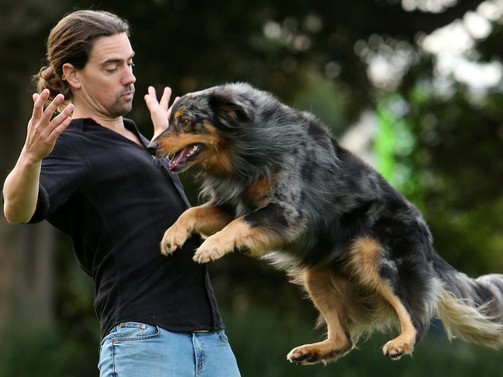 Ryan Tate, who is a dog trainer, and his pooch Ari. Picture: Tim Hunter