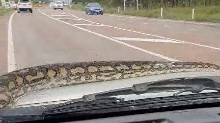 Ms Hudson believes the snake was about 3m long.