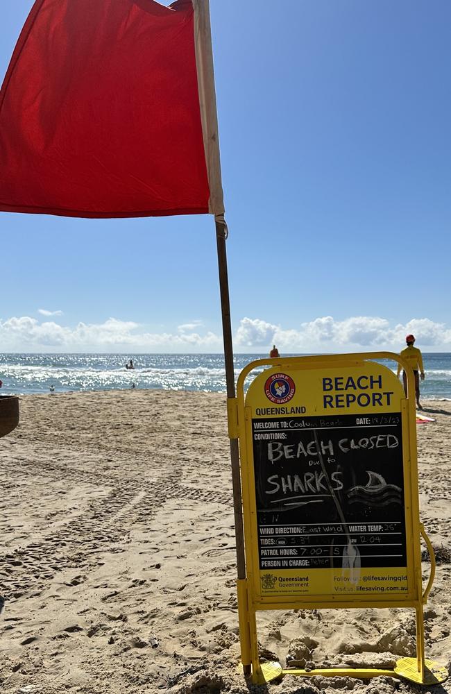 Lifesavers closed Coolum Beach on March 18 as a big bait ball came in close to shore and brought about 35 sharks with it. Picture: Letea Cavander