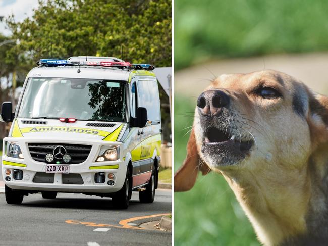 A motorcyclist has been taken to hospital in Toowoomba after he hit a dog on a busy street.