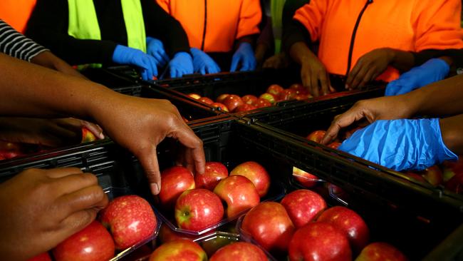 Victorian farmers could have to pay up to $8000 to quarantine seasonal workers in Darwin to fill a farm labour shortage.