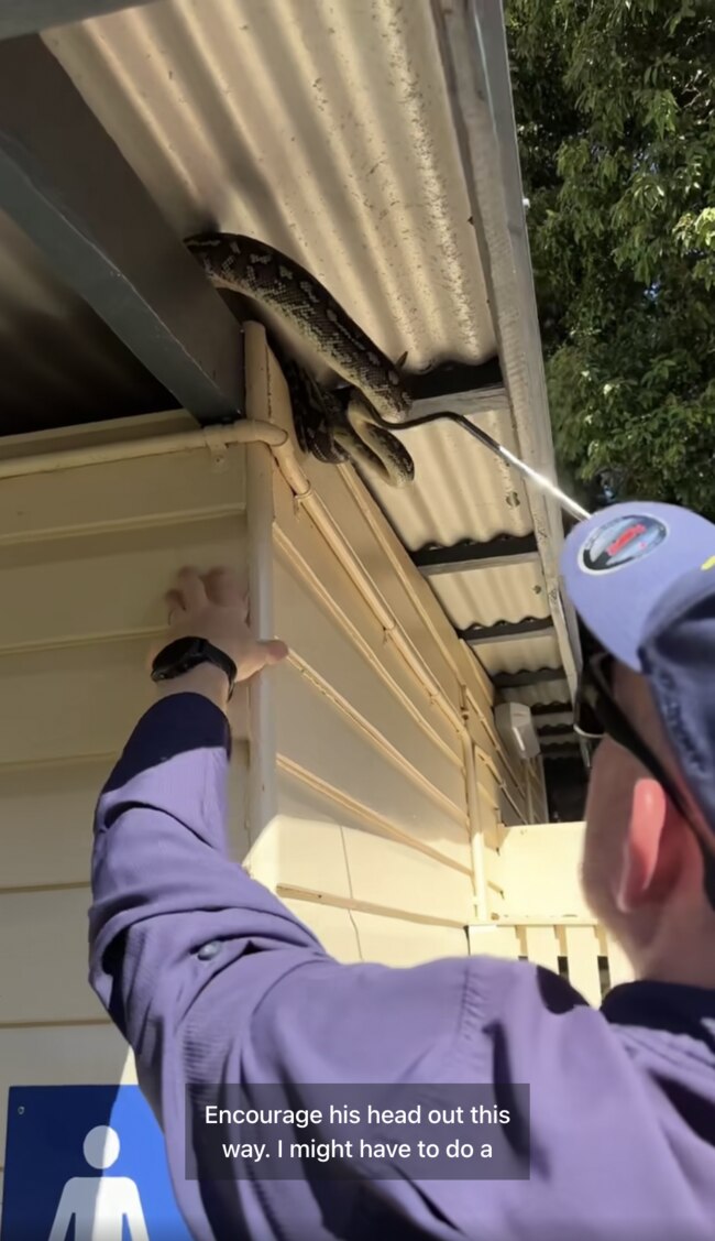 Stuart McKenzie removed the python with a snake hook. Picture: Facebook / Sunshine Coast Snake Catchers.