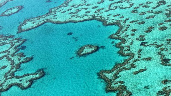 A file picture of the Great Barrier Reef. Picture: AFP