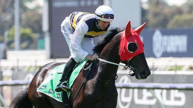 Queensland Derby Warmonger  is set for a Sydney campaign after a pleasing Geelong trial on Wednesday. Picture: Racing Photos via Getty Images.