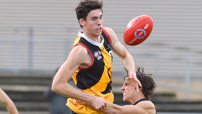 Oscar Clavarino in action for Dandenong in the TAC Cup. Picture: Josie Hayden