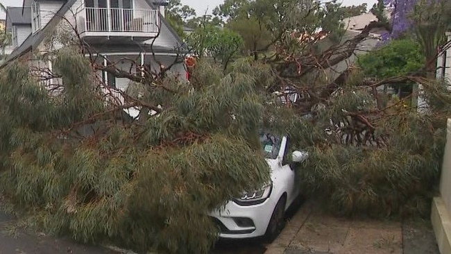 A tree hit a car during the storm in Sydney on Thursday. Picture: Nine