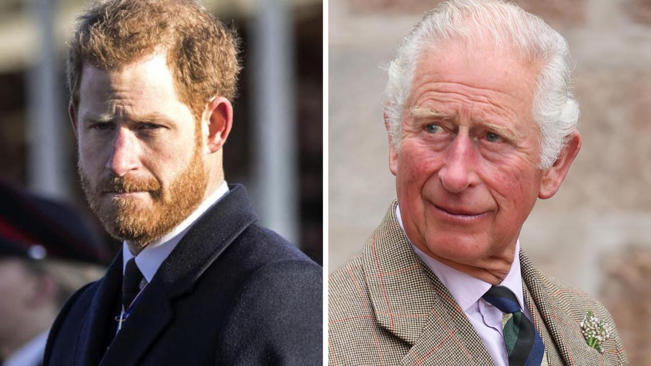 Prince Charles photo from parliament opening should panic Harry, Meghan