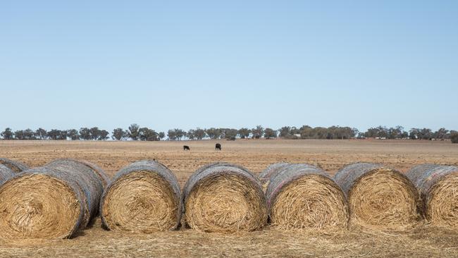 Drought affected Tamworth in NSW. Picture: Brent Winstone