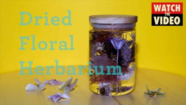 How to make a dried flower herbarium