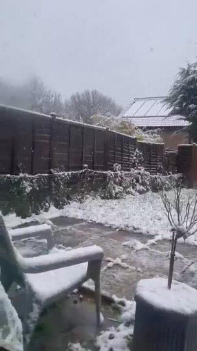 Snow Dusts Gardens in Buckinghamshire