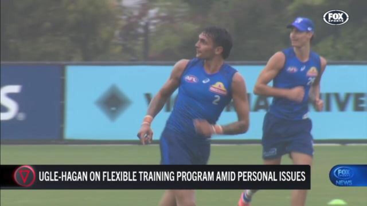 Dogs confirm stars new training program