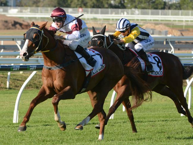 Queensland triumph one for the good Guys