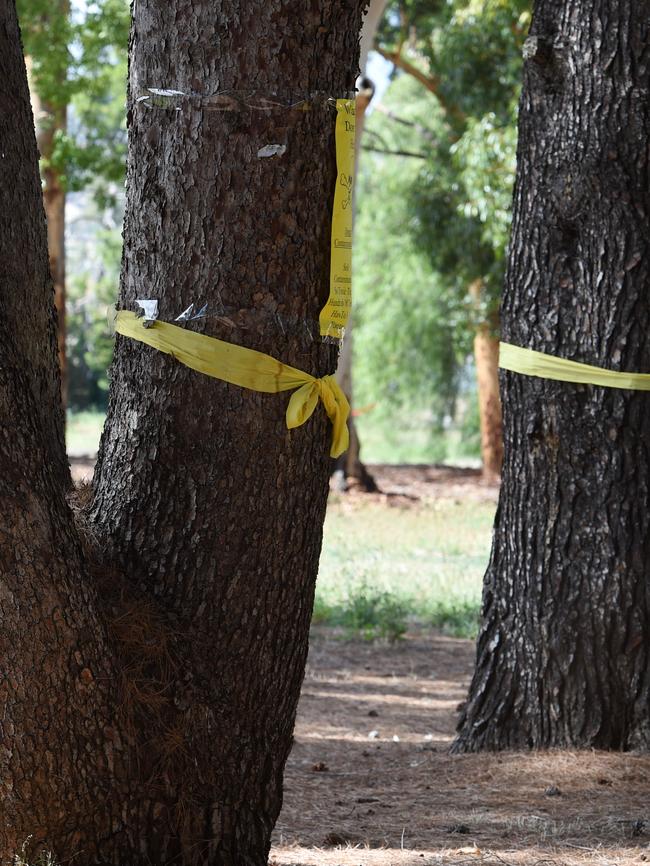 Yellow ribbons and protest signs placed around trees on the site.