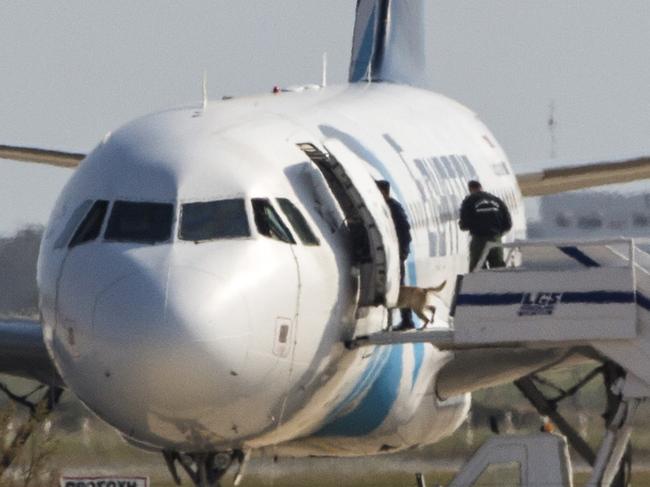 Cypriot security forces take a sniffer dog into an EgyptAir Airbus A-320 parked at the tarmac of Larnaca airport after the six-hour hijacking of the plane came to an end on March 29, 2016. Searches by Cyprus police found no explosives on the hijacker of an EgyptAir plane diverted to the island or inside the aircraft, a police source told AFP. The hijacker, who is in custody after surrendering to police following a six-hour standoff at Larnaca airport, had claimed to be wearing an explosives belt, Egyptian officials said. / AFP PHOTO / BEHROUZ MEHRI