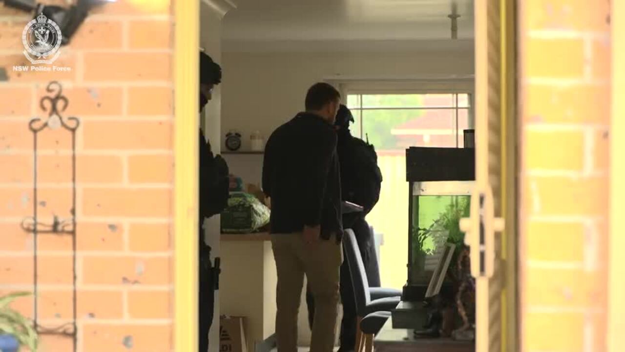 WATCH: Woman arrested over theft of 63,000 Bluey coins