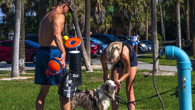 People wash their dog at a local park by the beach in Melbourne, Florida. Picture: Saul Martinez