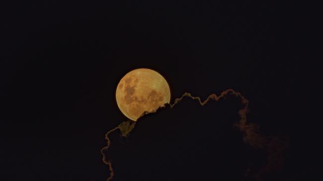 Congratulations to Amber Shannon for this amazing shot of the recent pink moon seen from Maclean.