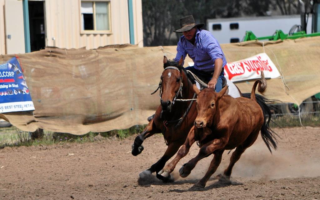 The Eumamurrin Campdraft has been postponed. The date is yet to be announced. Gigi Robertson. Picture: Gigi Robertson