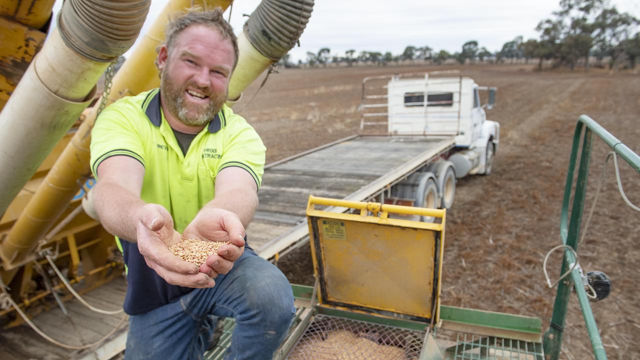 Barley narrows gap on wheat as drought drives market