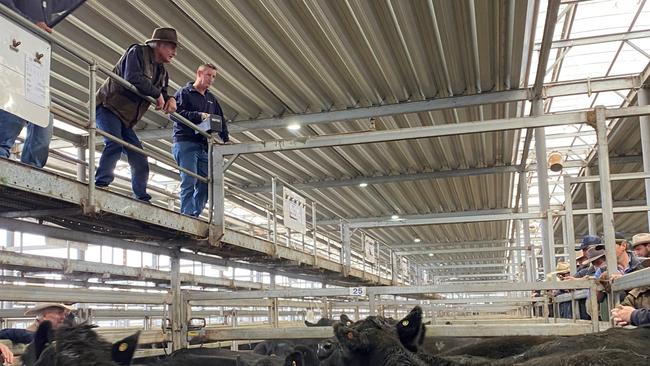 Wodonga cattle sale.