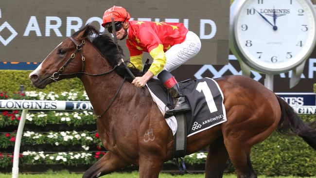 Empire Of Japan is the one to beat in the Magic Millions 2YO Classic. Picture: Grant Guy