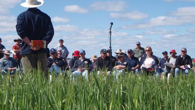 Experts To Join Birchip Cropping Group Spring Field Days At Beulah ...