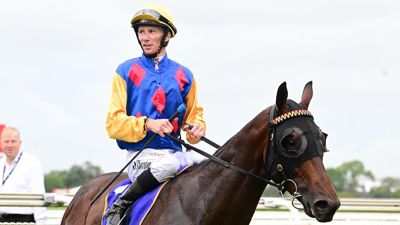 Supplied Editorial Rex Lipp-trained Cifrado storms into Magic Millions contention by  winning the Vo Rogue Plate at Doomben. Picture: Grant Peters, Trackside Photography.