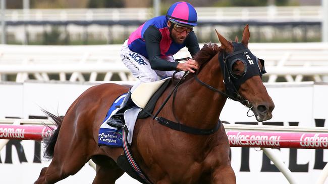 Vega Magic has a great record at Caulfield, notching three wins from four starts. Picture: AAP