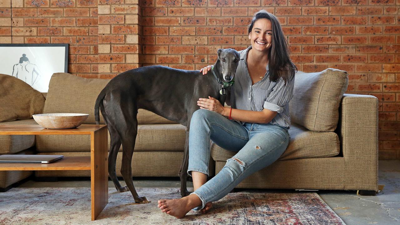 Olympic volleyballer Bec Palmer shares special bond with greyhound, Sterling