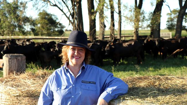 Head of Hancock Prospecting Gina Rinehart