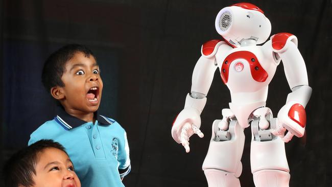 Glendal Primary School students are teaching a robot to teach preps. Picture: Stuart Milligan