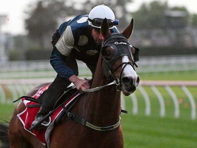 MELBOURNE, AUSTRALIA - OCTOBER 17: Steven Arnold riding Soulcombe during gallops at Caulfield Racecourse on October 17, 2023 in Melbourne, Australia. (Photo by Vince Caligiuri/Getty Images)