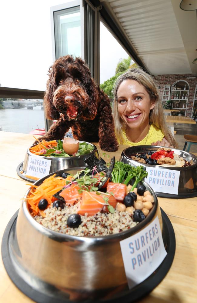 Chino the mini spoodle and owner Nina Hoffman from Main Beach tuck into the food. Picture Glenn Hampson