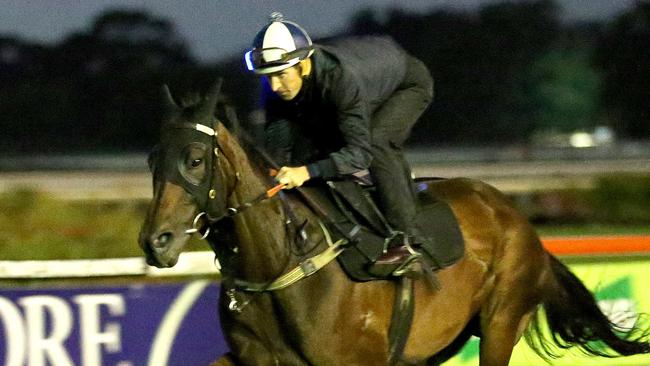 Hugh Bowman put Winx through her paces in a gallop at Rosehill on Thursday. Picture: Stephen Cooper